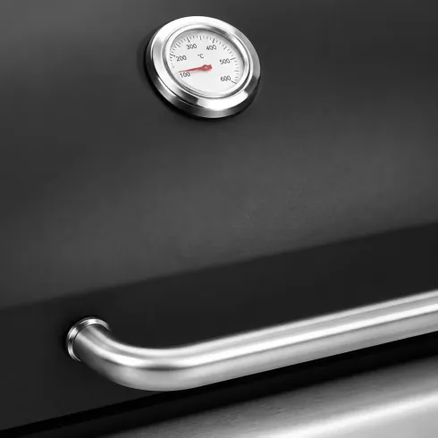 Barbecue a Gas GPL da Esterno 2 Bruciatori con Coperchio Acciaio Inox