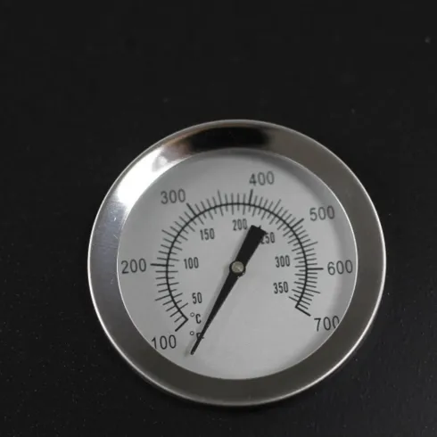 Barbecue a Carbone con Affumicatore e Griglia Inox con Coperchio
