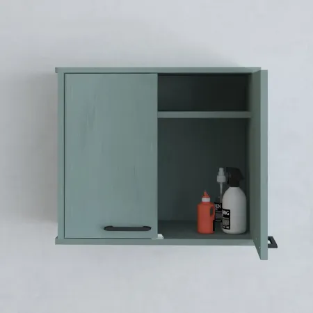 Pensile Lavanderia 60x34x52,5 cm in PVC Verde Ripiano Doppia Anta