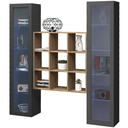 Parete Attrezzata Soggiorno TV 170 cm Antracite con Vetrine Libreria