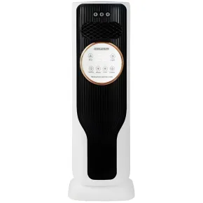 Raffrescatore Termoconvettore 2 in 1 Elettrico 2kW Nero Caldo Freddo