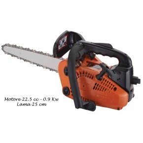 Motosega Jetsky motore a Scoppio 25 cc Sega Lama Carving 25cm Potatrice Potatura