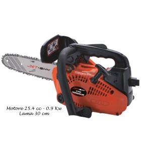 Motosega motore a Scoppio 25 cc Sega Lama 30cm Professionale Potatura Legna Rami