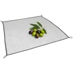 Reti per Olive