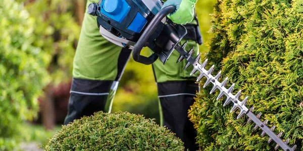 Tagliasiepe elettrico: quanti watt deve possedere per essere efficace e funzionale