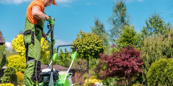 Come sistemare il giardino al rientro dalle vacanze estive