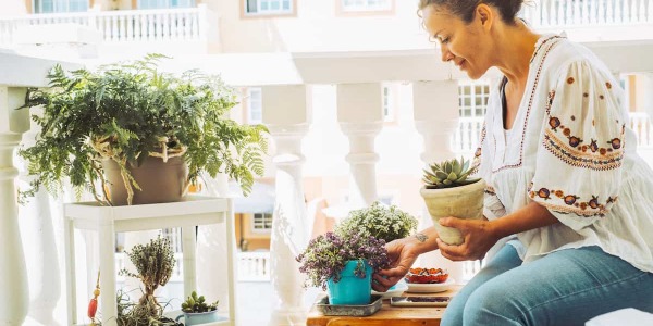 Piante da terrazzo: quali scegliere e come disporle