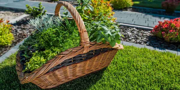 Arredo giardino fai da te: come allestire con stile
