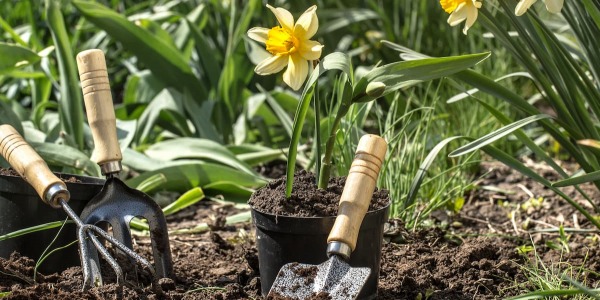 Manutenzione giardino: gli strumenti essenziali per prendersene cura