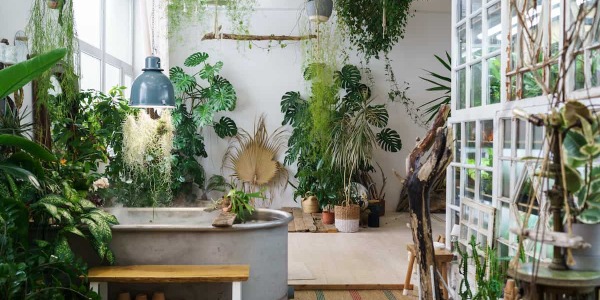 Come vivere al meglio il giardino d’inverno: trucchi e consigli