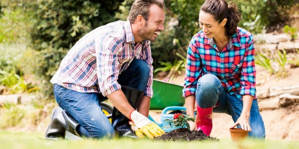 Come sistemare il prato in primavera? Pratici consigli per rinnovarlo al meglio