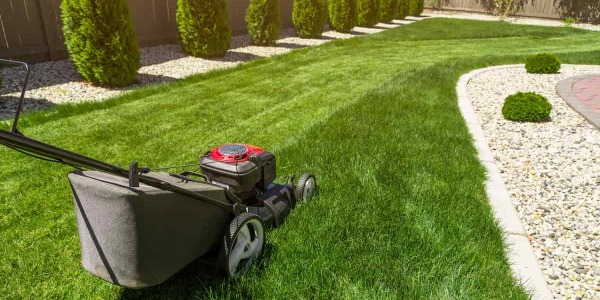 Tosaerba elettrico: tutti i vantaggi che regala a te a al tuo giardino
