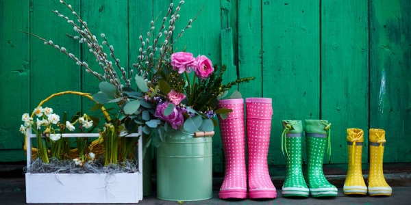 Box da esterno: guida a dove riporre e ordinare tutti gli attrezzi e gli utensili da giardino : guida a dove riporre e ordinare tutti gli attrezzi e gli utensili da giardino