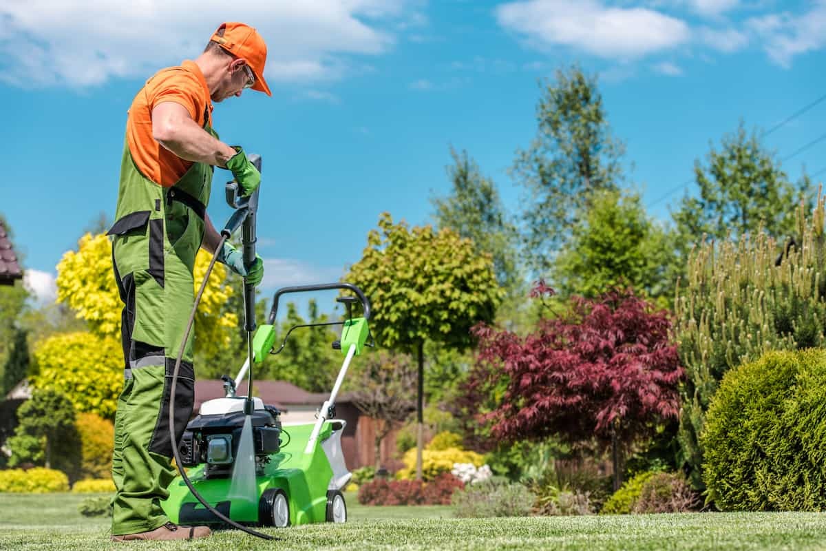 Come sistemare il giardino al rientro dalle vacanze estive