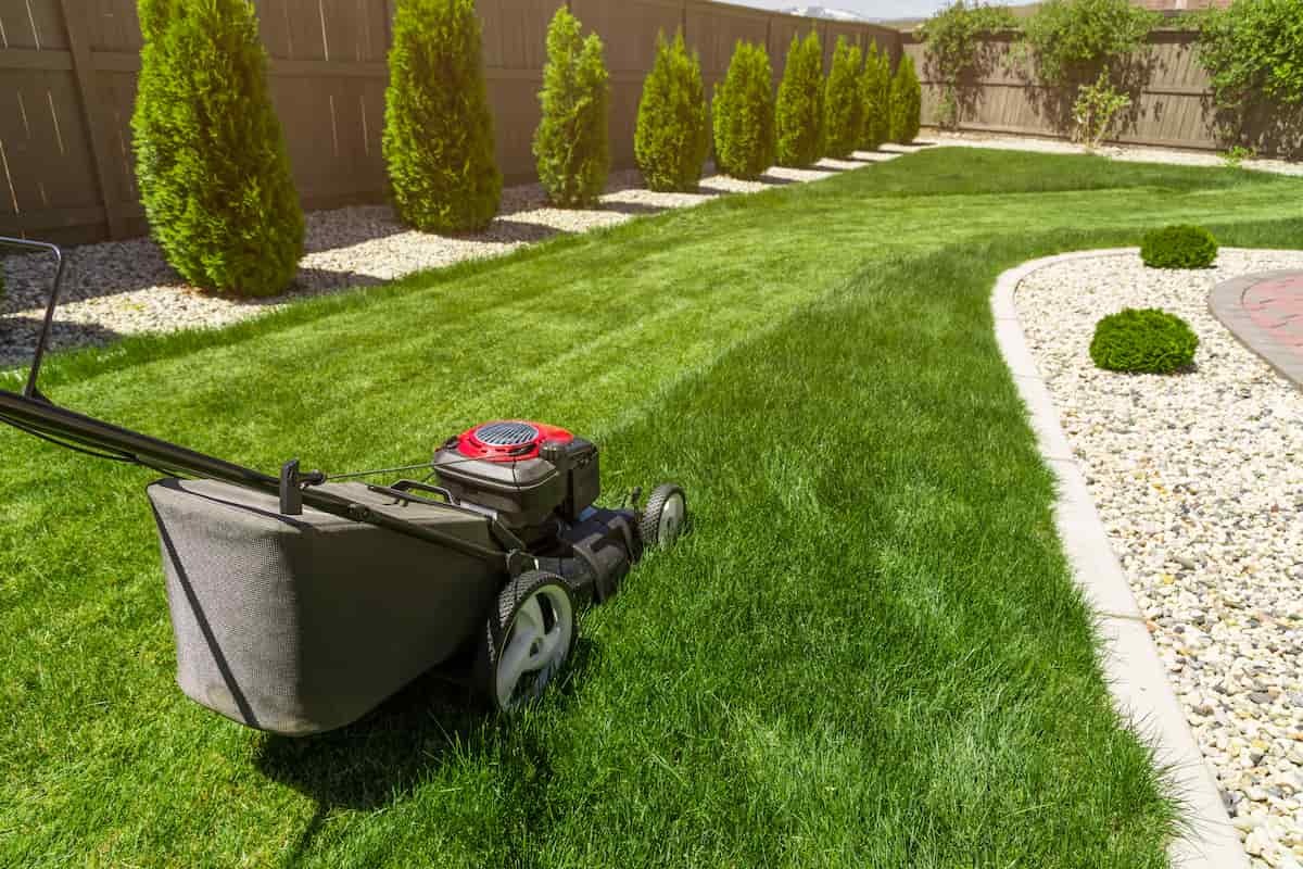 Tosaerba elettrico: tutti i vantaggi che regala a te a al tuo giardino